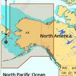 C-MAP NA-M028 Max Wide microSD Alaska