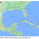 C-MAP Reveal Coastal Gulf of Mexico and Bahamas