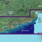 Garmin VUS001R G3 Vision North Maine