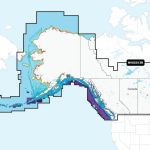 Garmin NVUS013R Navionics+ Vision+ Canada West & Alaska microSD